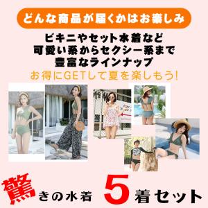 福袋 水着 レディース 5点セット 女性 かわ...の詳細画像3
