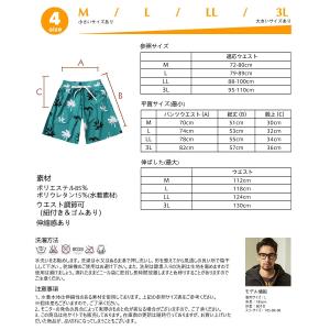 水着 ペア水着 レディース メンズ カップル水...の詳細画像4