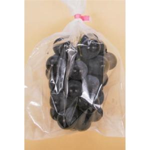 OPPボードン袋【信和】ハイパーボードン#25 三角野菜防曇袋 25HS-106