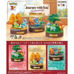 リーメント ポケモン 30周年 BOXの高価買取価格