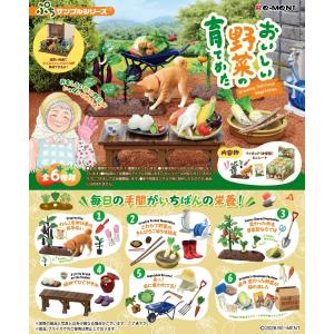 9月28日発売予定 リーメント ぷちサンプルシリーズ おいしい野菜の育てかた BOX商品 全6種類 全部揃います