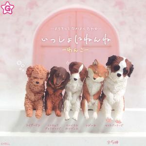 YELL エール いっしょにねんね わんこ 10個入り 未開封ボックス BOX 全種類揃います 犬 イヌ かわいい フィギュア おもちゃ ガチャ