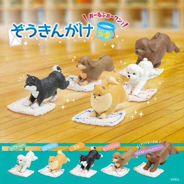 YELL エール ぞうきんがけ当番〜おーるふぉーワン！〜 10個入り 未開封ボックス BOX 動物 ...