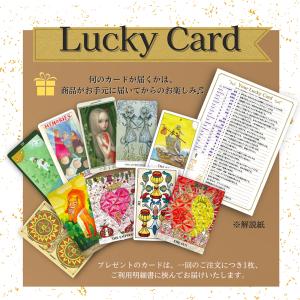 ※新装版※正規品【日本語解説書付 タロットとポ...の詳細画像4