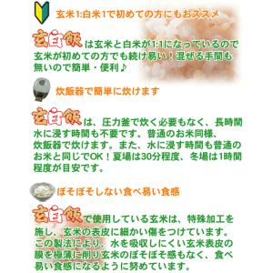 令和7年産 無洗米 玄米 玄白飯 9.5kg ...の詳細画像4