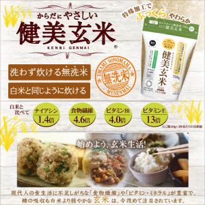 【栄養機能食品】令和7年産 玄米 無洗米 から...の詳細画像1