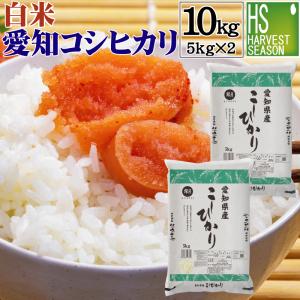 ハツシモ はつしも 寿司米 大粒 岐阜県産 5kg 令和7年産 白米「岐阜産