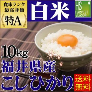 10kg 福井県産 コシヒカリ 白米 精白米 29年産 送料無料 セール