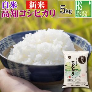新米 令和8年産【こちらは白米です。無洗米ではありません】高知県産コシヒカリ5kg 精白米 白米