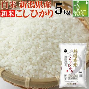 令和5年産 新潟県産 コシヒカリ 5kg 米 精白米 白米 送料無料｜hseason