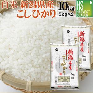 コシヒカリ 米 10kg 令和7年 送料無料 滋賀県東近江市 特別栽培米 1等