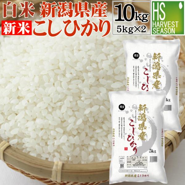 新米 令和7年産 新潟県産 コシヒカリ 10kg 5kg×2袋 米 精白米 白米 送料無料 お米マイ...
