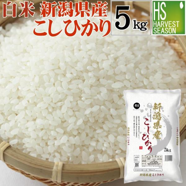 令和5年産 新潟県産 コシヒカリ 5kg 米 精白米 白米 送料無料