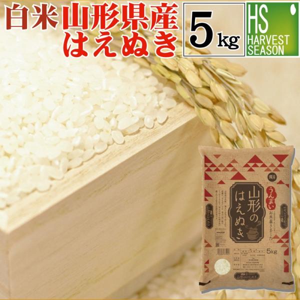 5kg はえぬき 山形県産 白米 精白米 令和5年産 送料無料