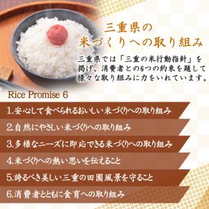 [お値打ち価格続行] 令和7年産 無洗米 5k...の詳細画像5