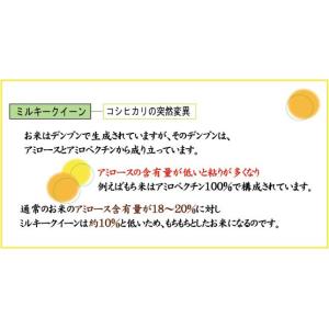[7年産売尽くしセール] 令和7年産 無洗米 ...の詳細画像3