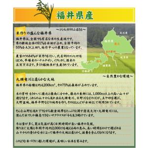 [7年産売尽くしセール] 令和7年産 無洗米 ...の詳細画像4