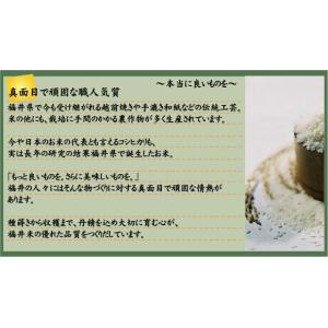 [7年産売尽くしセール] 令和7年産 無洗米 ...の詳細画像5