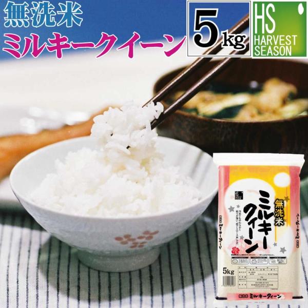 無洗米 5kg ミルキークイーン 福井県産 令和5年産 送料無料 