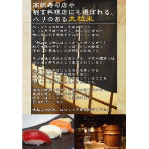 [7年産売尽くしセール] 令和7年産 無洗米 ...の詳細画像3