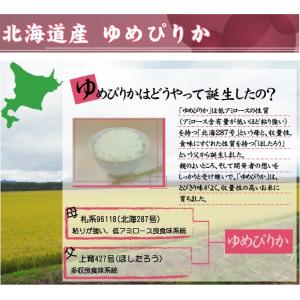 [7年産売尽くしセール] 令和7年産 無洗米 ...の詳細画像3