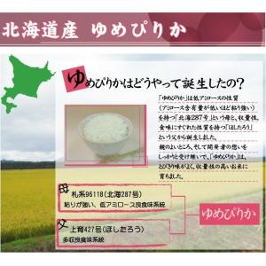 令和7年産 無洗米 北海道ゆめぴりか 2合(3...の詳細画像4