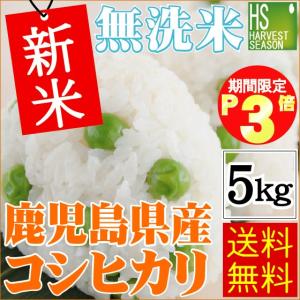 新米 5kg 無洗米 鹿児島県産 コシヒカリ ポイント３倍 30年産 送料無料