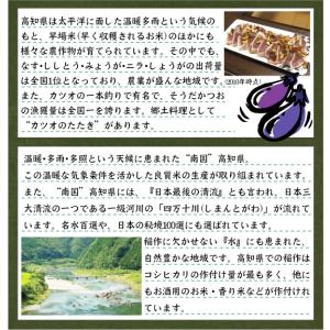 新米 令和8年産 無洗米 5kg コシヒカリ ...の詳細画像2