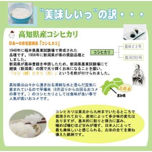 新米 令和8年産 無洗米 5kg コシヒカリ ...の詳細画像3