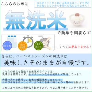 [7年産売尽くしセール] 令和7年産 無洗米 ...の詳細画像5