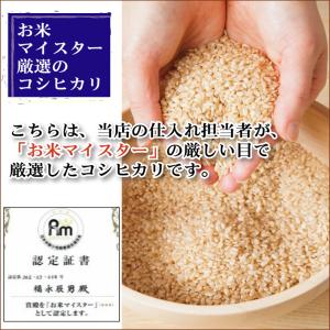[7年産売尽くしセール] 令和7年産 無洗米 ...の詳細画像3