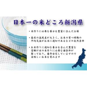 [特価+ポイント5倍] 令和7年産 無洗米 5...の詳細画像1