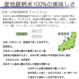 令和7年産 無洗米 新潟県産コシヒカリ 2合(...の詳細画像3