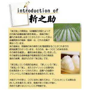 数量限定 無洗米 2kg×2袋 新之助 新潟県...の詳細画像4