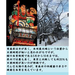 [7年産売尽くしセール] 令和7年産 無洗米 ...の詳細画像4
