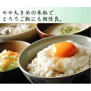 [7年産売尽くしセール] 令和7年産 無洗米 ...の詳細画像5