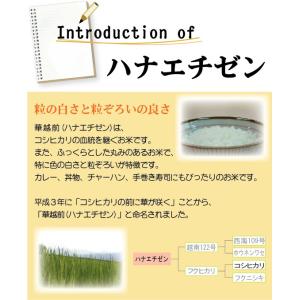 [特価][人気商品 新米で登場] 新米 令和8...の詳細画像2