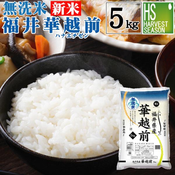 [特価＆ポイント3倍][人気商品 新米で登場] 新米 令和8年産 無洗米 5kg 福井県産 華越前 ...