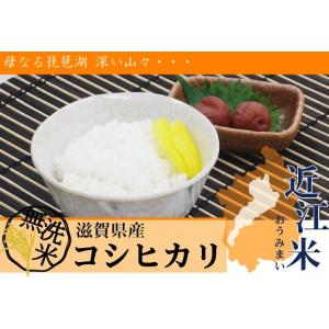 [夏休み応援特価] 無洗米 5kg×2袋 滋賀...の詳細画像1
