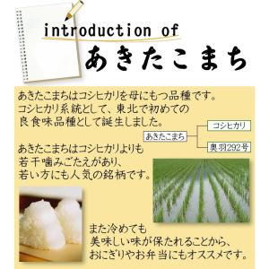 令和5年産 無洗米 5kg×2 あきたこまち ...の詳細画像3