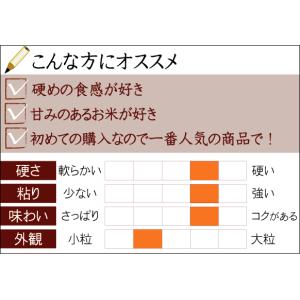 [7年産売尽くしセール] 令和7年産 無洗米 ...の詳細画像2