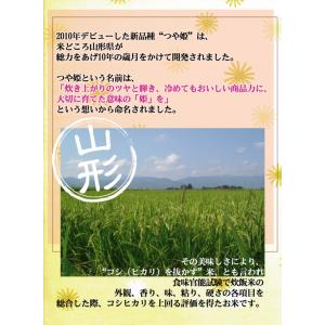 [期間限定特価] 令和7年産 無洗米 特別栽培...の詳細画像1