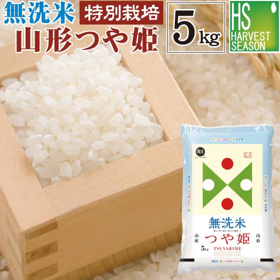 令和7年産 無洗米 5kg つや姫 山形県産 米 お米 送料無料 特別栽培米