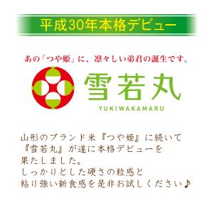 7年産 無洗米 山形県産雪若丸 2合(300g...の詳細画像2