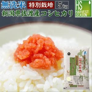 [7年産売尽くしセール] 数量限定 無洗米 5kg 新潟県 佐渡 コシヒカリ 特別栽培米 令和7年産 送料無料　SL