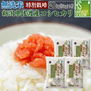 [7年産売尽くしセール] 数量限定 無洗米 5k...の商品画像