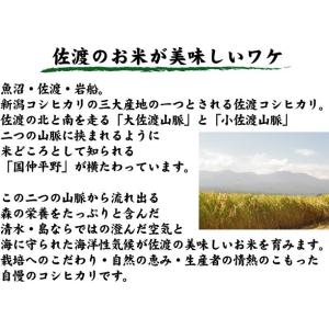 [7年産売尽くしセール] 数量限定 無洗米 5...の詳細画像2