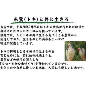 [7年産売尽くしセール] 数量限定 無洗米 5...の詳細画像3