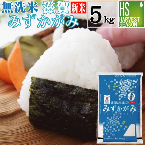 無洗米 5kg みずかがみ 滋賀県産 令和5年産 特別栽培米 送料無料