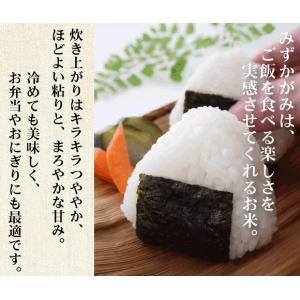 無洗米 5kg みずかがみ 滋賀県産 令和5年...の詳細画像3